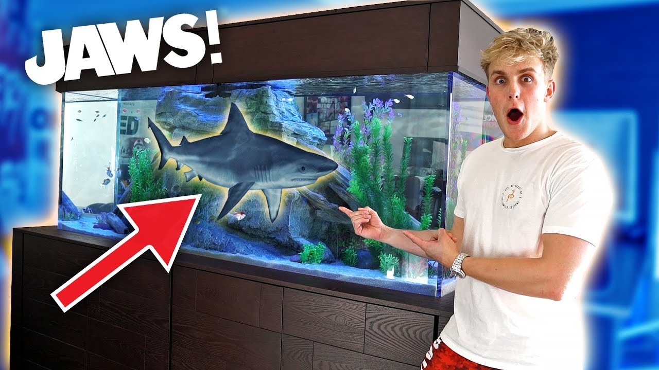 MEET MY NEW GIANT PET SHARK!!