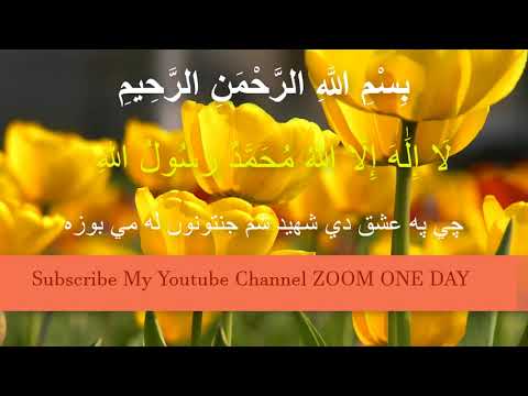 چي په عشق کیدي شهيد شم جنتونوں له مي بوزه