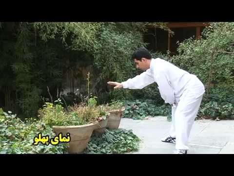 نمونه ای از حرکات درمانی چی کونگ - به سوی تندرستی