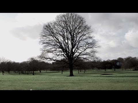 پروکسی (فیلم کوتاه)