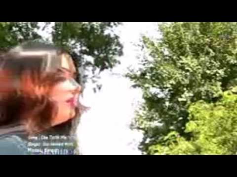 پشتو مسته سندره  چی توت می سنده وه