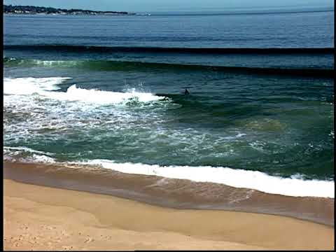 Rip Current PSA:  How to Swim to Safety