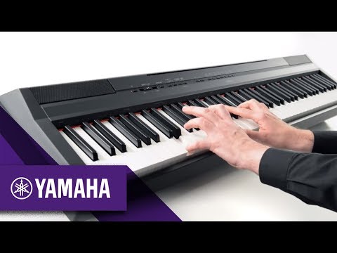 P-115 بررسی اجمالی پیانو دیجیتال