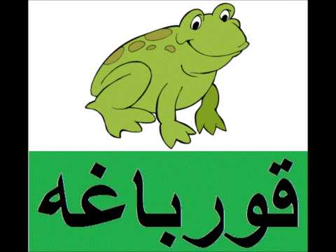 آموزش صدای حیوانات برای کودکان