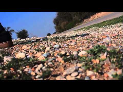 دانلود کلیپ تصویری دکلمه بهار با صدای محمدرضا خردمند و به قلم امید حاجی زاده