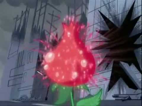 شبکه کارتون کارتون