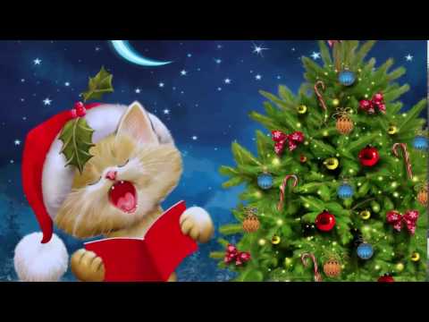 نحوه ی تغییر امور اینستاگرام با ایمیل