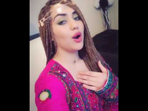 پلنگ خیلی خوشگل افغانی اینستاگرام!!!