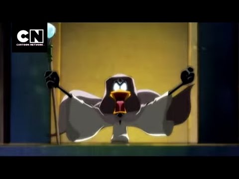 کارتون شبکه | Patolino: ای Mago | 2014