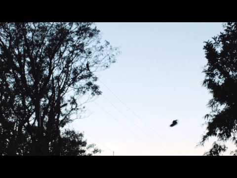 Blackmagic جیبی - درجه سمينوم پروکسی ProRes