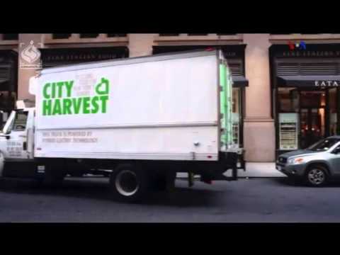 آمریکا بهشت زندگی؟!!