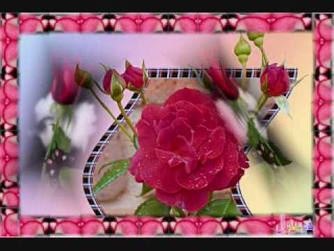 بهرام جان چی مینا Kray سالا Weeregay بهرام جان چی مینه کړی