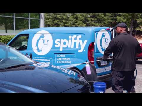 شبکه سرمایه گذار Wolfpack