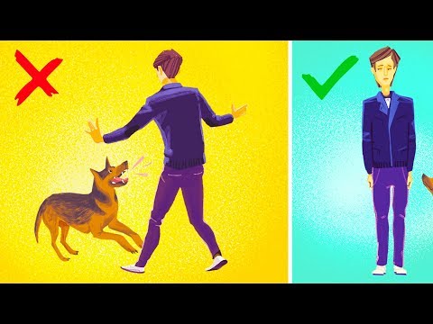 چگونه برای زنده ماندن سگ حمله