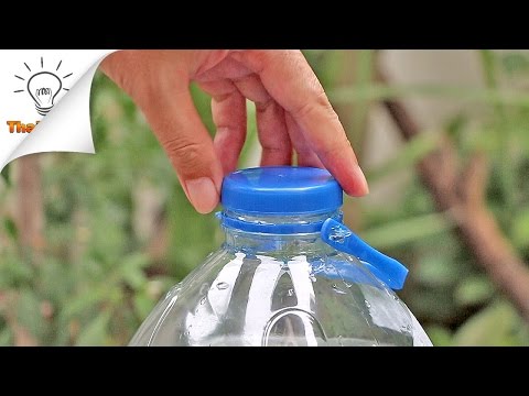 6 بطری پلاستیکی بطری زندگی هک شما باید بدانید