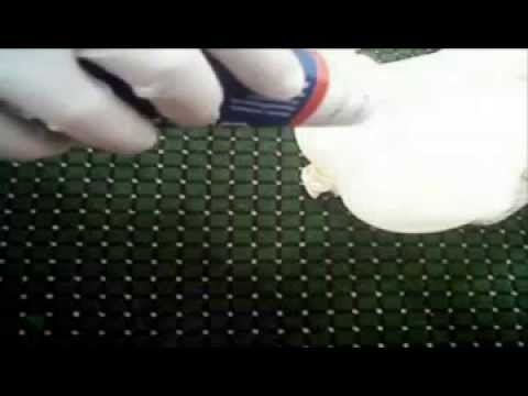 آموزش خود ارضایی زنان