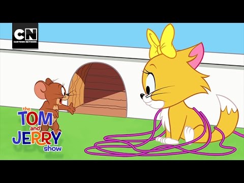 بچه گربه بازدید | نمایش تام و جری | کارتون شبکه