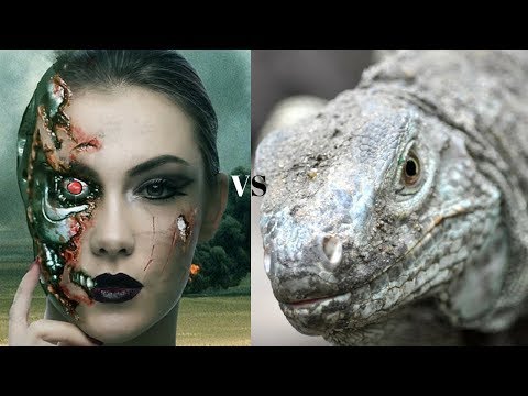 للا قهرمان شطرنج جهان رسمی کامپیوتر کومودو - پایان عصر نزدیکی برای موتورهای کلاسیک بیت است؟ ♚Support