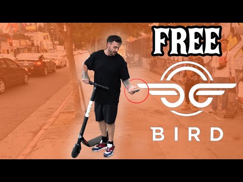 چگونه به هک پرنده & آهک اسکوتر و دریافت رایگان سواری