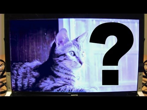 کامپیوتر گربه!