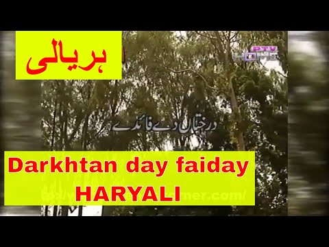 DARKHTAN روز FAIDE | HARYALI (پنجابی کشاورزی برنامه) | ہریالی ۔ پنجابی پروگرام زرعی